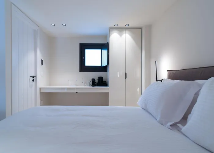 酒店 Vezo Mykonos 4*